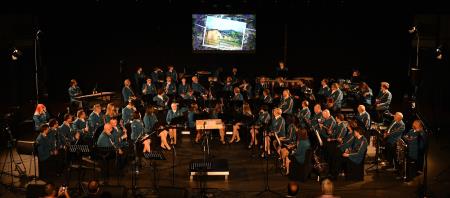 Dobrodelni glasbeni koncert (2)
